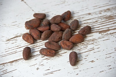 cacao-fave-carillondellamore