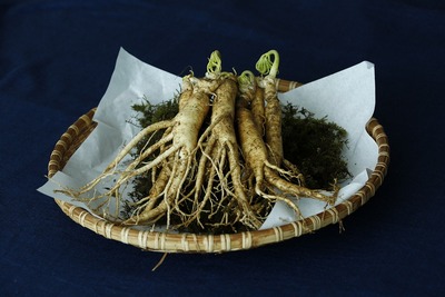 ginseng-carillondellamore