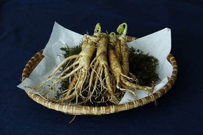 ginseng-carillondellamore