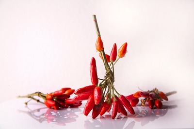 peperoncino-carillondellamore